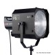 Elinchrom Fresnel Spot