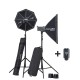 Elinchrom D-Lite RX4/RX4 Softbox To Go Set